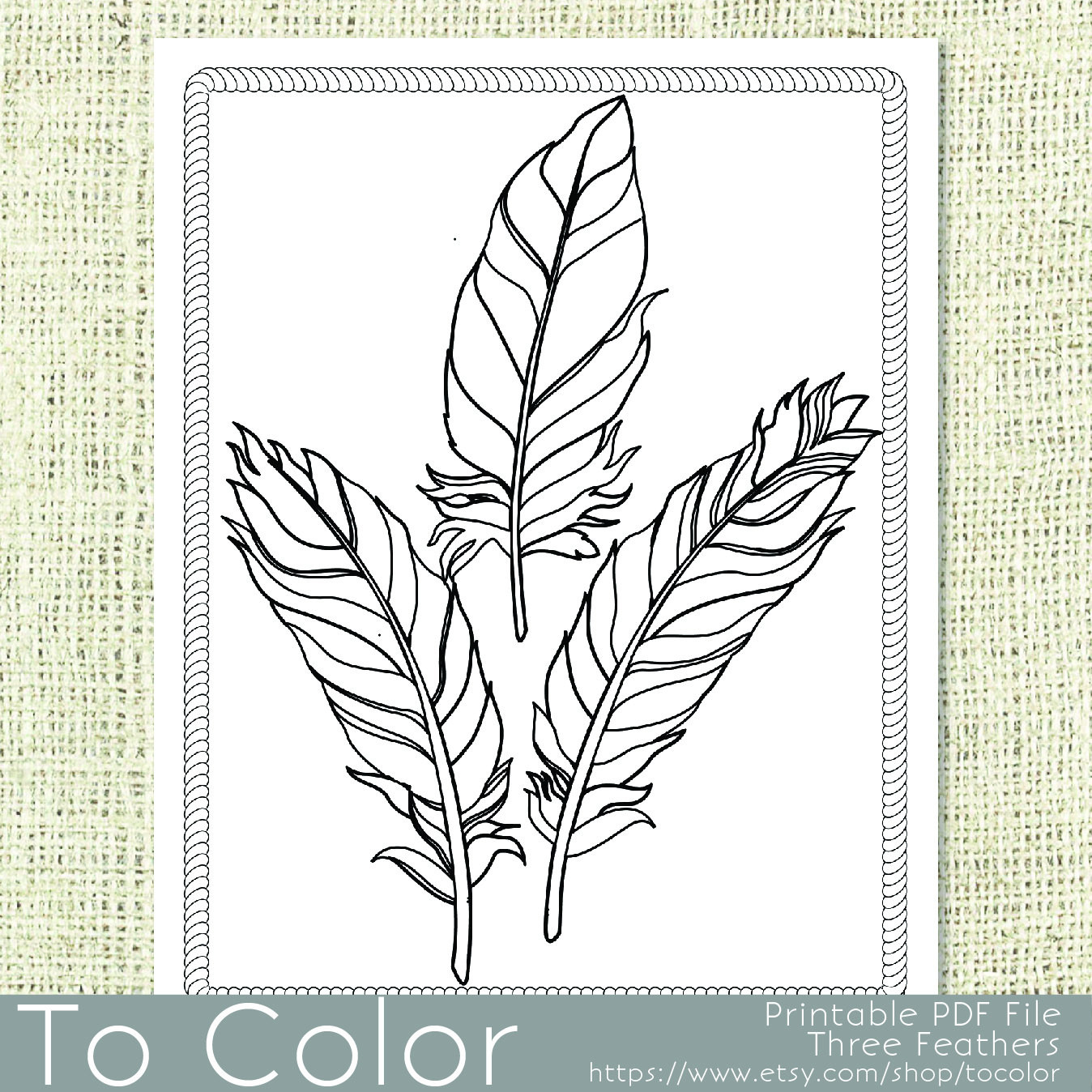 Feather Coloring Pages
 Printable Feathers Coloring Page for Adults PDF JPG by
