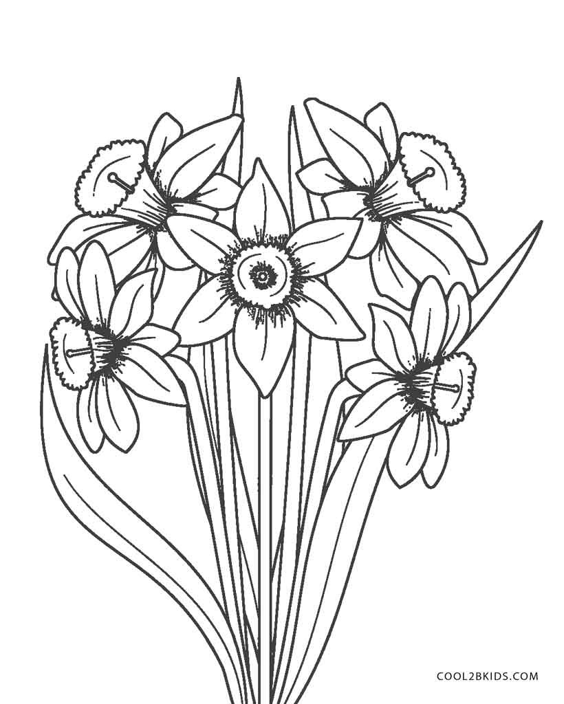 Flower Printable Coloring Pages
 Free Printable Flower Coloring Pages For Kids