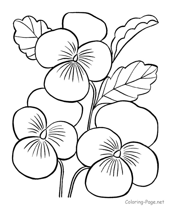 Flower Printable Coloring Pages
 Pin by Elenor Martin on templates stencils silhouettes