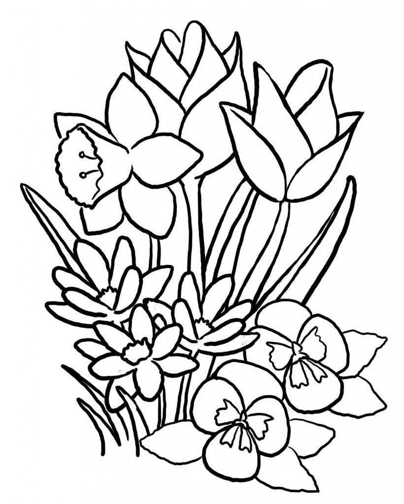 Flower Printable Coloring Pages
 Free Printable Flower Coloring Pages For Kids Best