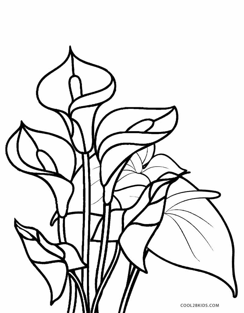 Flower Printable Coloring Pages
 Free Printable Flower Coloring Pages For Kids