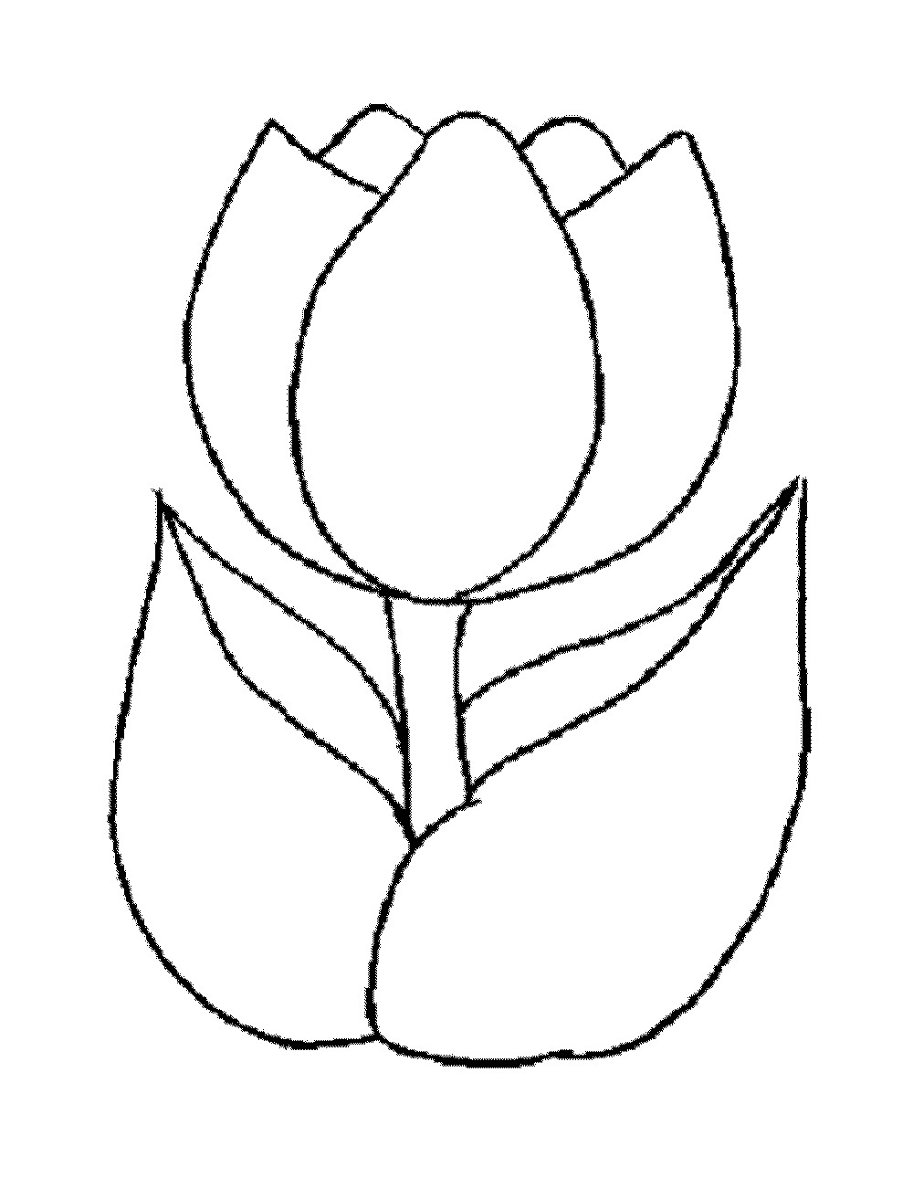 Flowers Coloring Pages For Girls
 flower coloring pages for girls