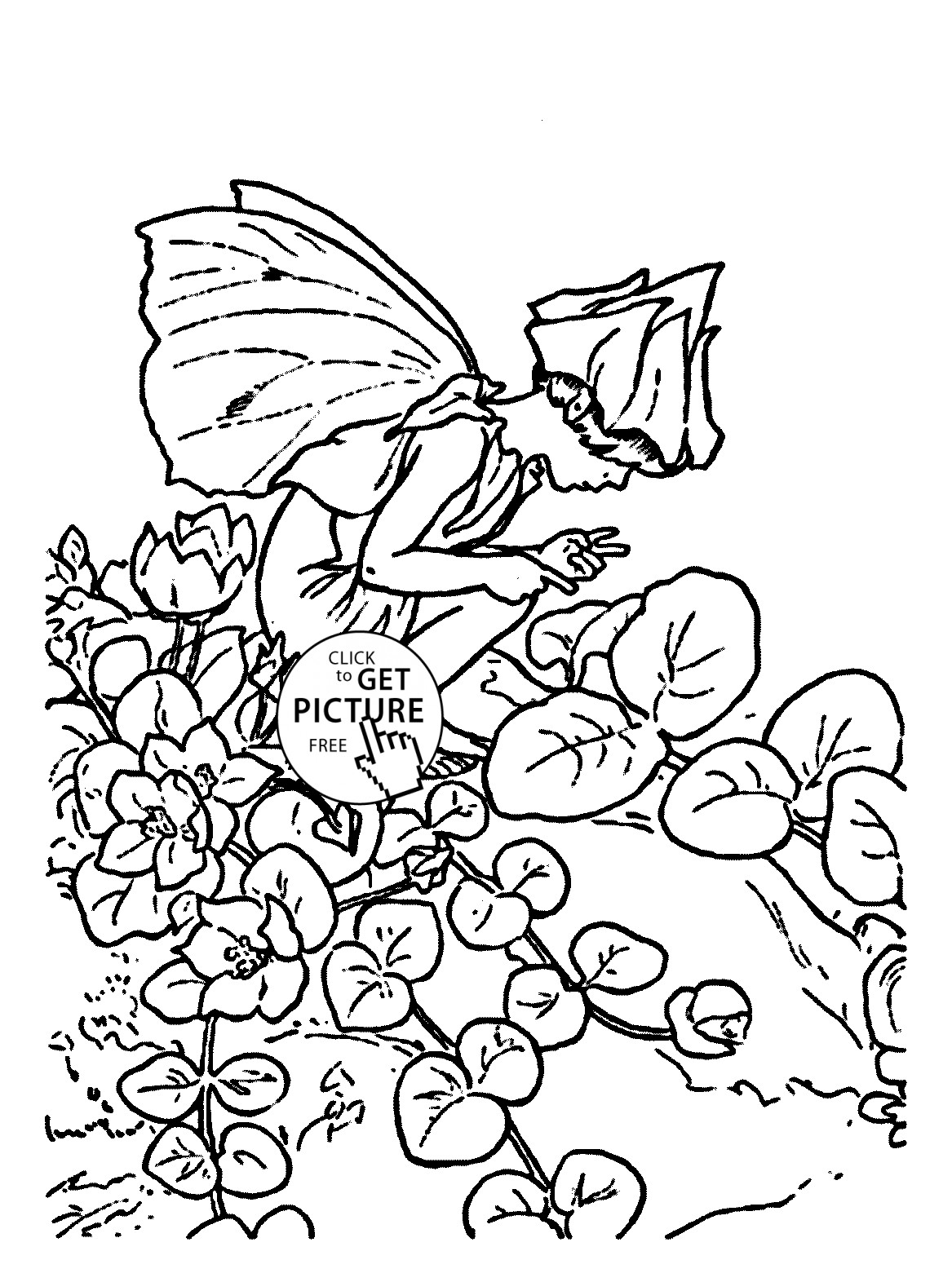 Flowers Coloring Pages For Girls
 Herb Coloring Pages