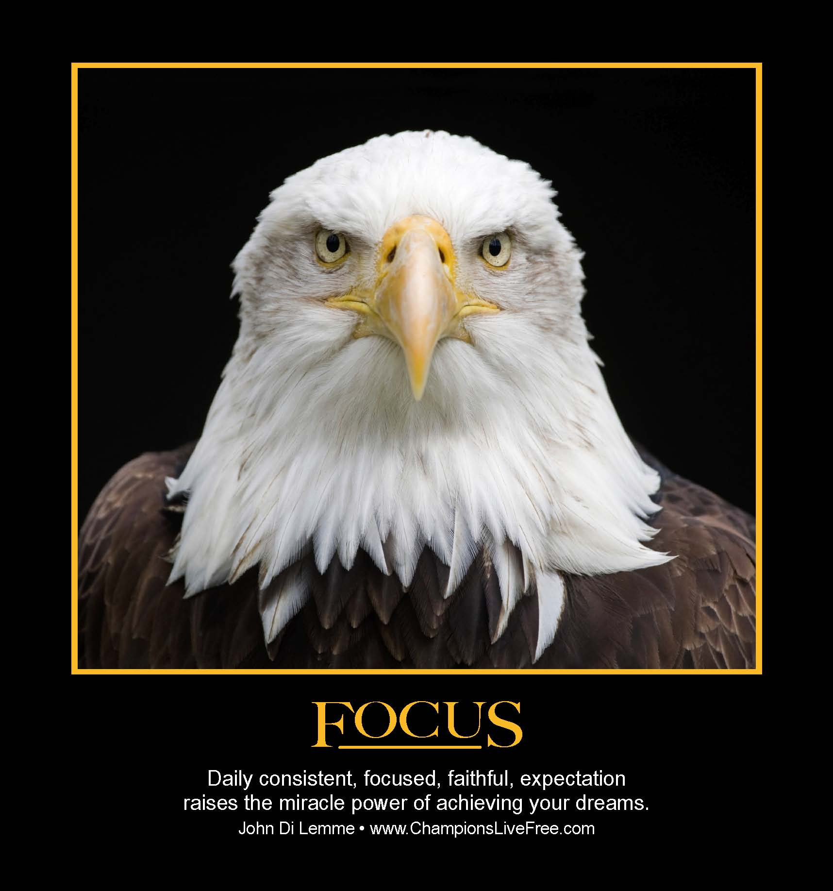 Focus Motivational Quotes
 Focus Success Quotes QuotesGram