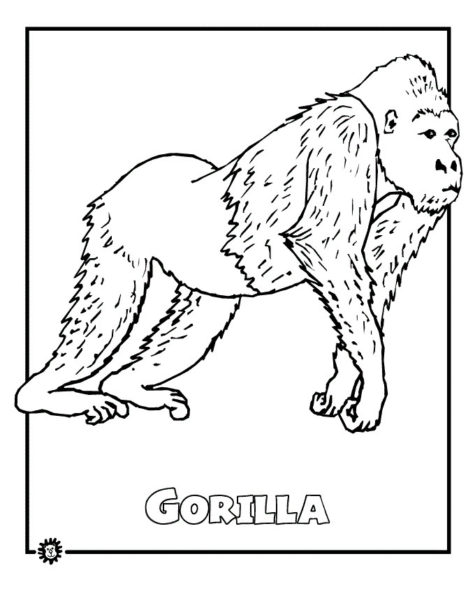 Forest Animal Coloring Pages
 Gorilla Colouring In Rainforest Study