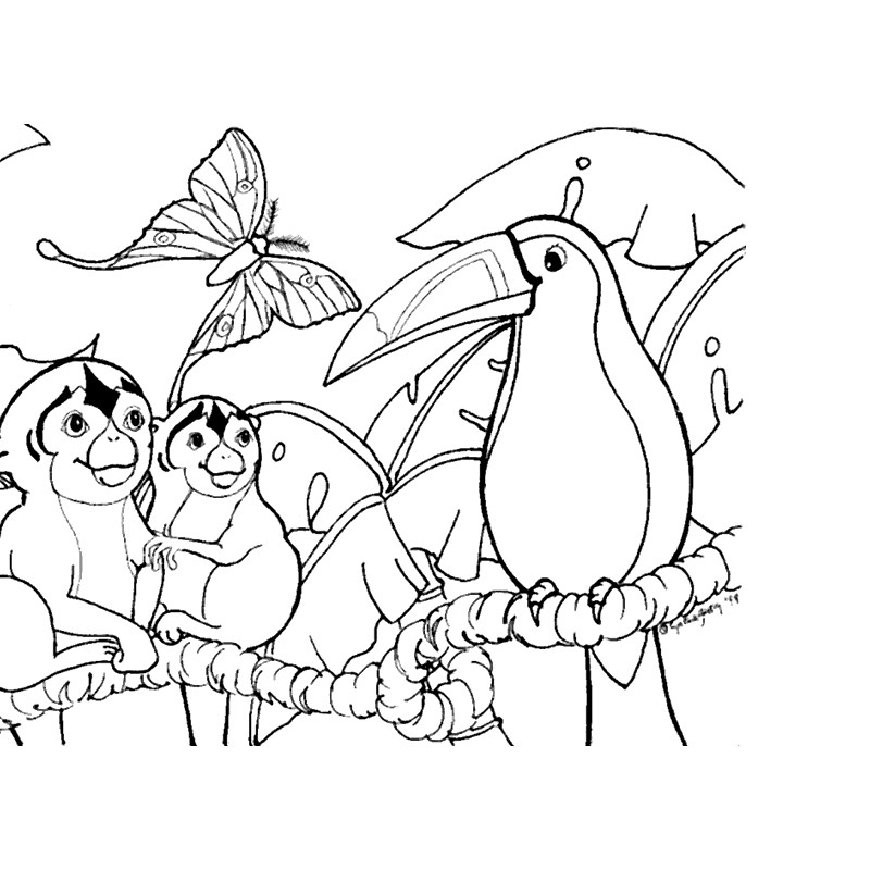 Forest Animal Coloring Pages
 Amazon Rainforest Coloring Pages Coloring Home