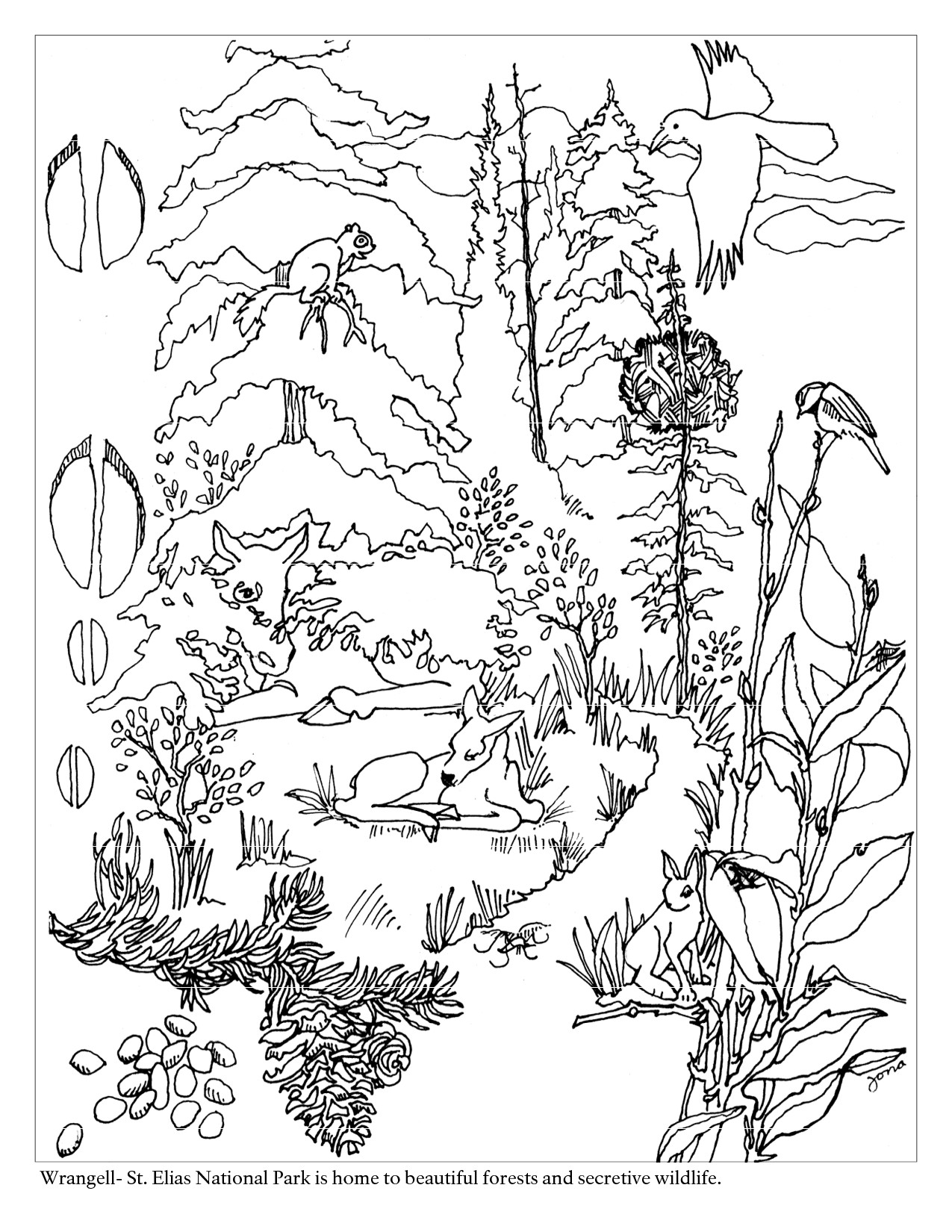 Forest Animal Coloring Pages
 Forest Coloring Page For Children Coloring Home