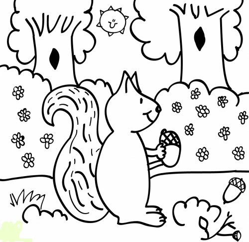 Forest Animal Coloring Pages
 Theme forest animals coloring pages Juf Milou