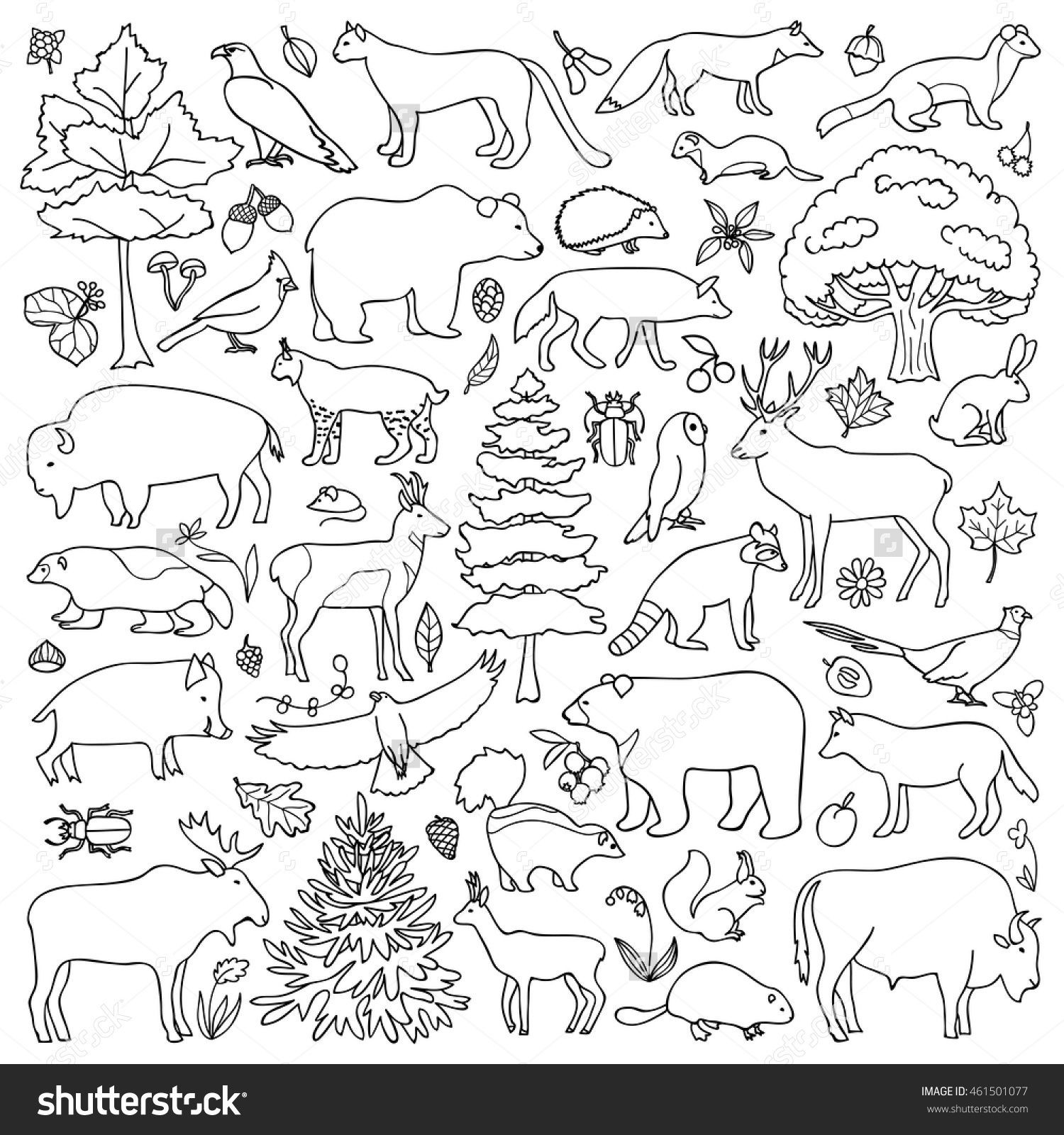 Forest Animal Coloring Pages
 Forest Coloring Pages at GetColorings