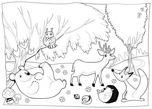 Forest Animal Coloring Pages
 Detailed Coloring Page – Forest Creatures