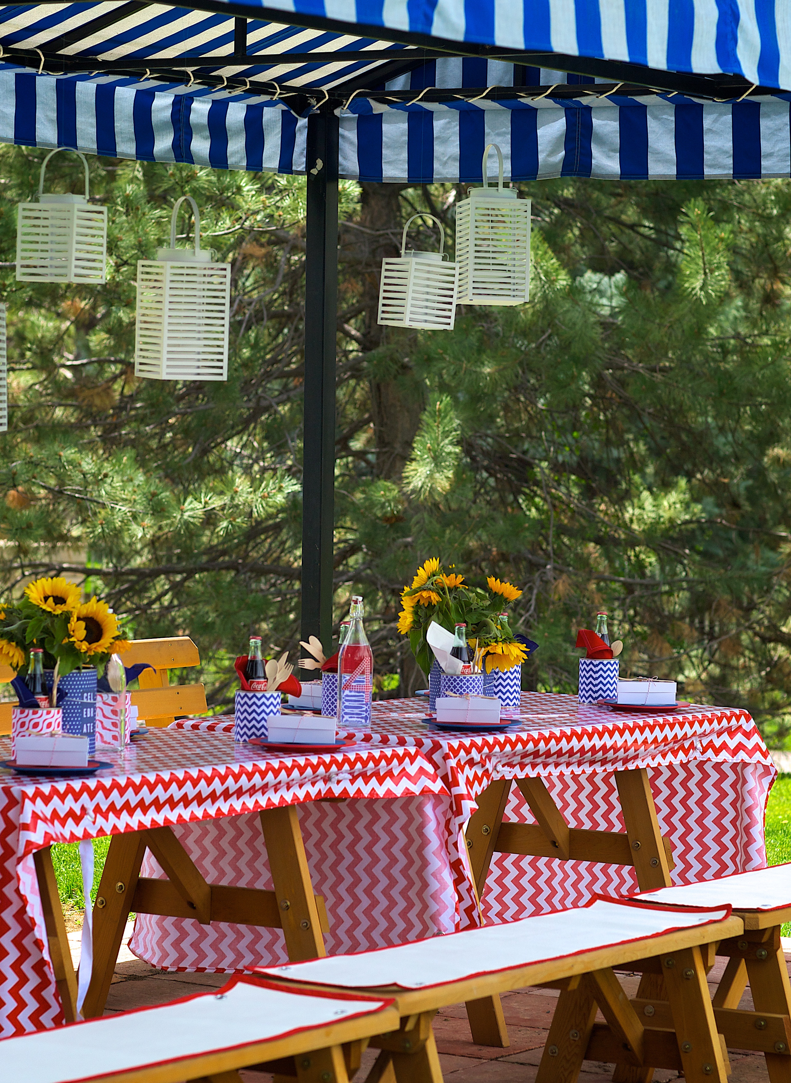 Fourth Of July Backyard Party Ideas
 4th of July Party and Giveaway