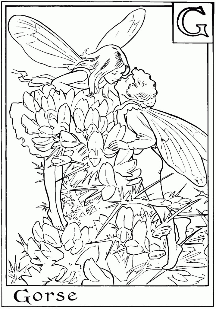 Free Coloring Book
 Free Printable Fairy Coloring Pages For Kids