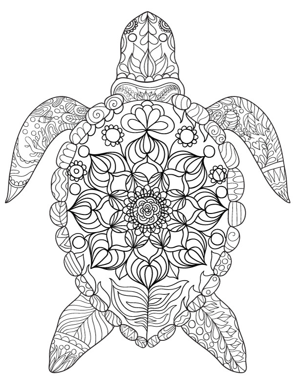 Free Coloring Pages For Boys Turtle
 Sea Turtle Adult Coloring Page