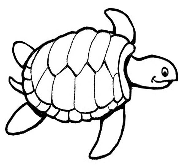 Free Coloring Pages For Boys Turtle
 Yertle The Turtle Coloring Pages Coloring Home