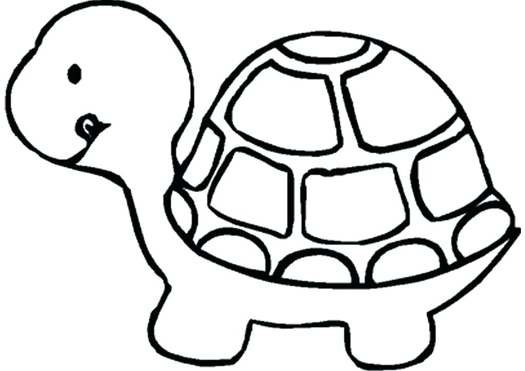 Free Coloring Pages For Boys Turtle
 Pets Coloring Pages Best Coloring Pages For Kids
