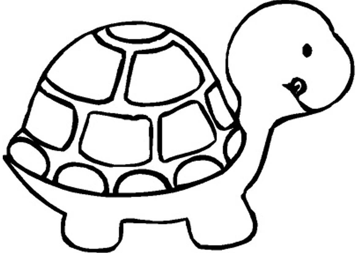 Free Coloring Pages For Boys Turtle
 Craft