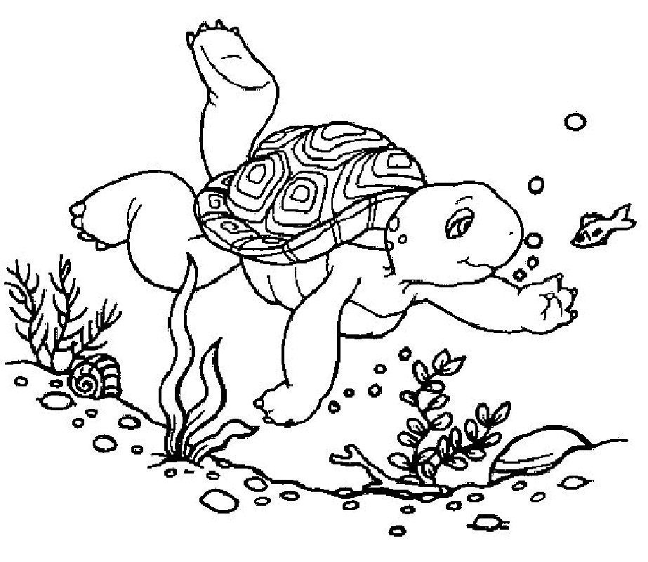 Free Coloring Pages For Boys Turtle
 Coloring Pages Turtles Free Printable Coloring Pages