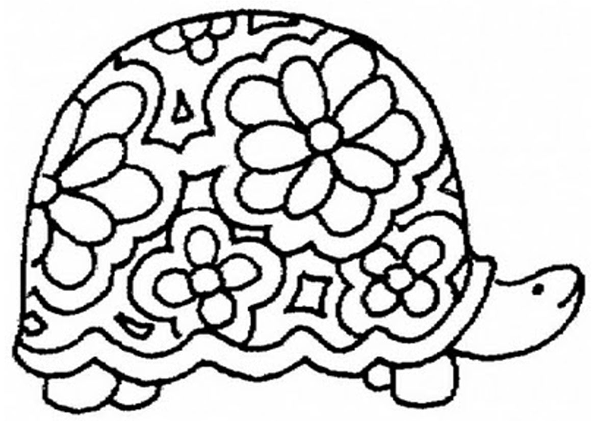 Free Coloring Pages For Boys Turtle
 turtle coloring page