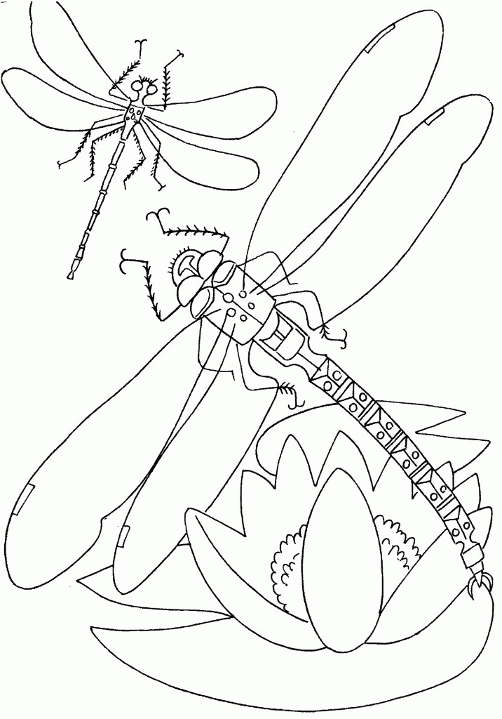 Free Downloadable Coloring Pages For Toddlers
 Free Printable Dragonfly Coloring Pages For Kids