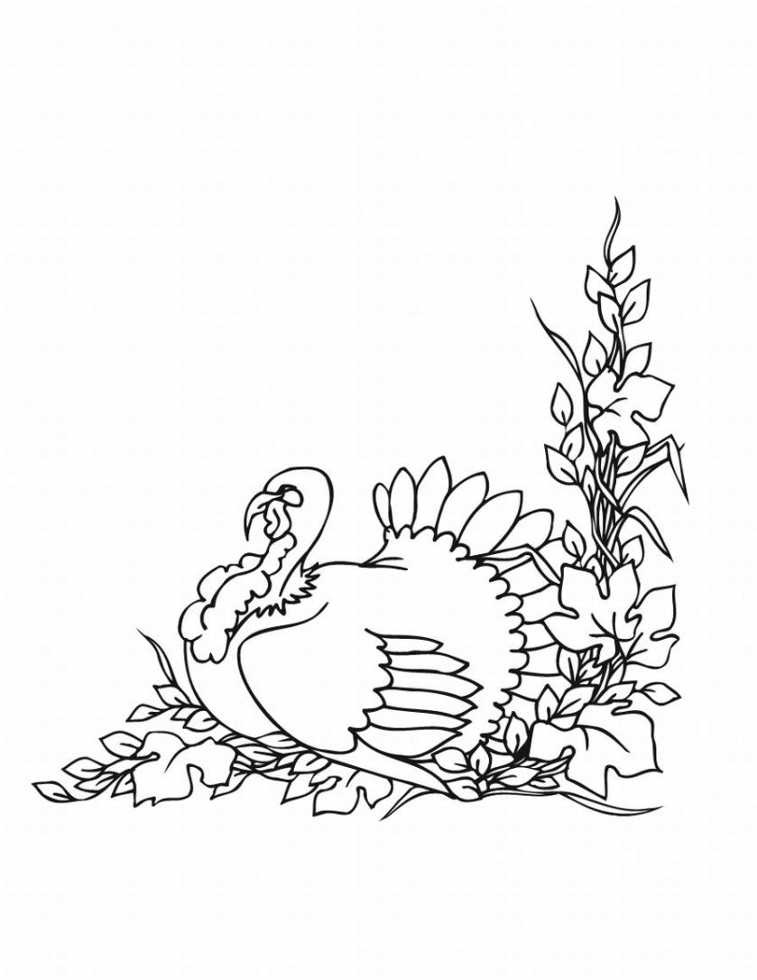 Free Downloadable Coloring Pages For Toddlers
 Free Printable Turkey Coloring Pages For Kids
