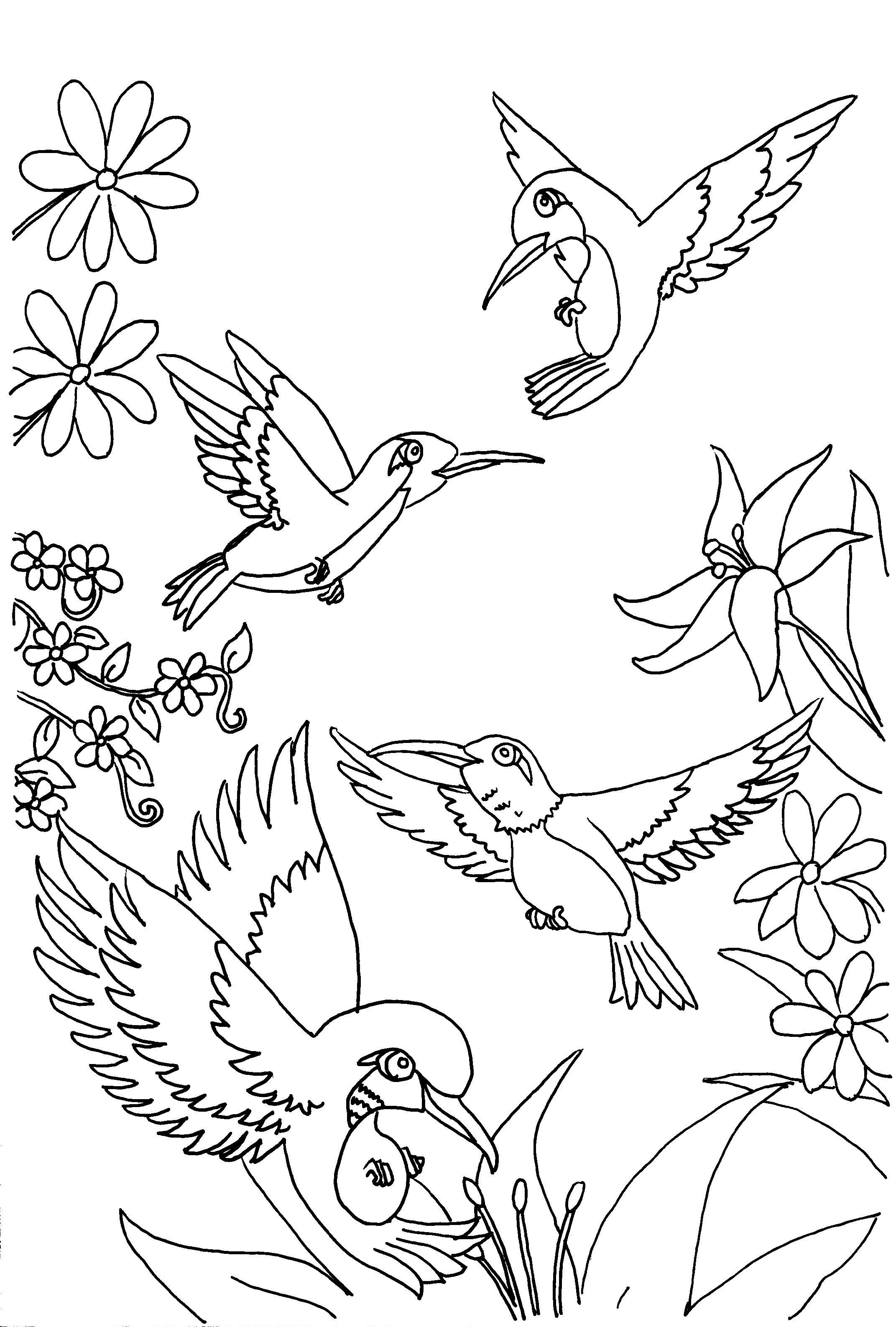 Free Downloadable Coloring Pages For Toddlers
 Free Printable Hummingbird Coloring Pages For Kids