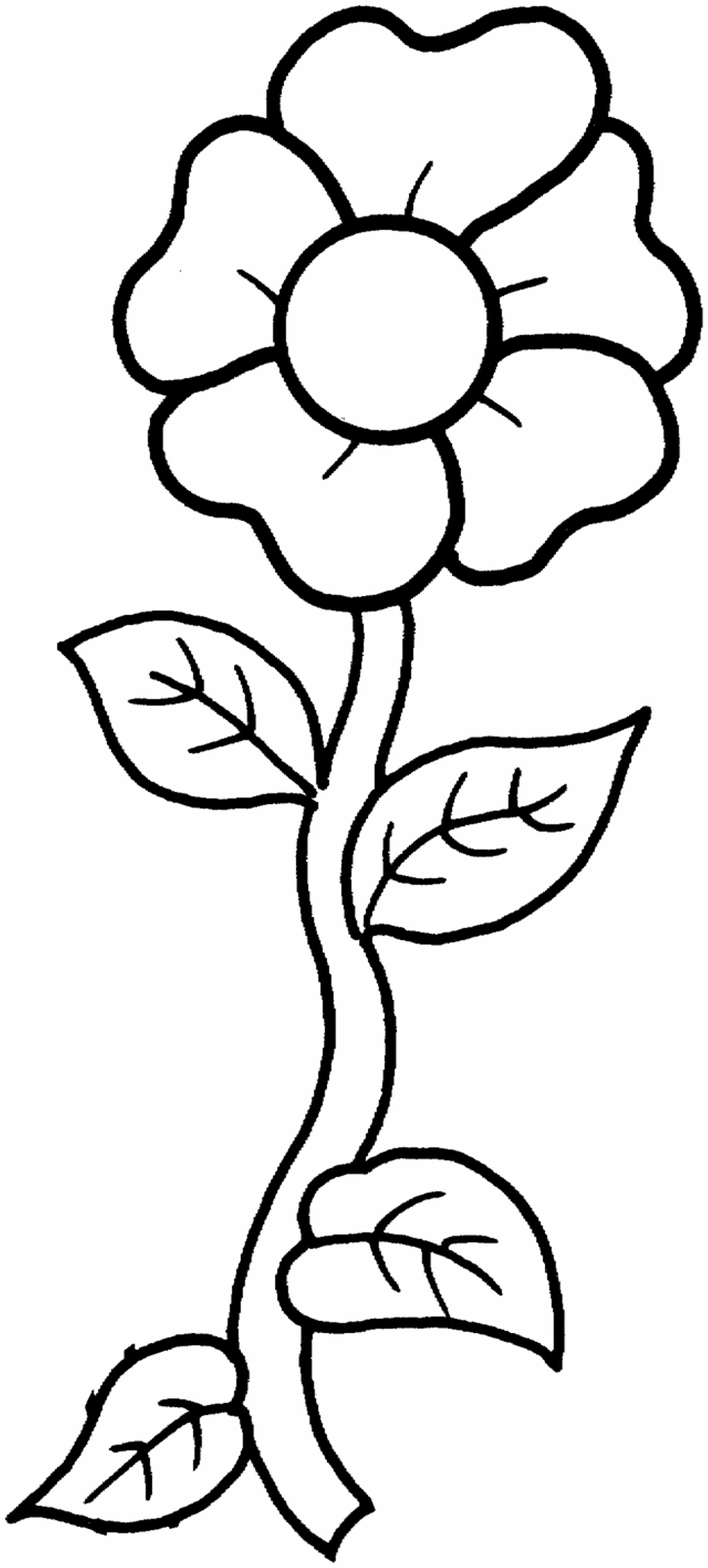 Free Flower Coloring Pages For Kids
 Free Printable Flower Coloring Pages For Kids Best