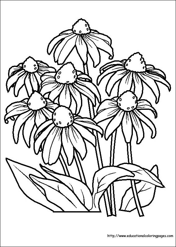 Free Flowers Coloring Pages Toddler
 Flower Coloring Coloring Pages free For Kids