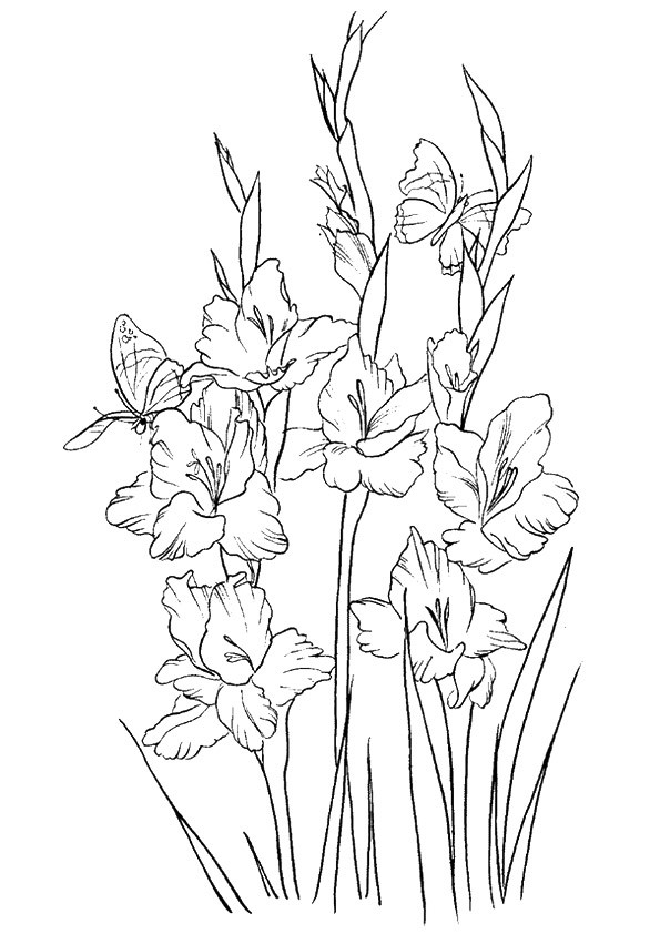 Free Flowers Coloring Pages Toddler
 Free Printable Flower Coloring Pages For Kids Best