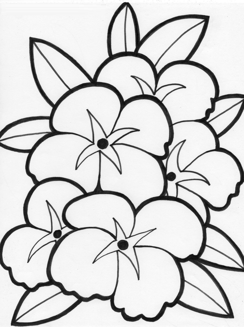 Free Flowers Coloring Pages Toddler
 coloring pages of attractive flowers with leaves for kids