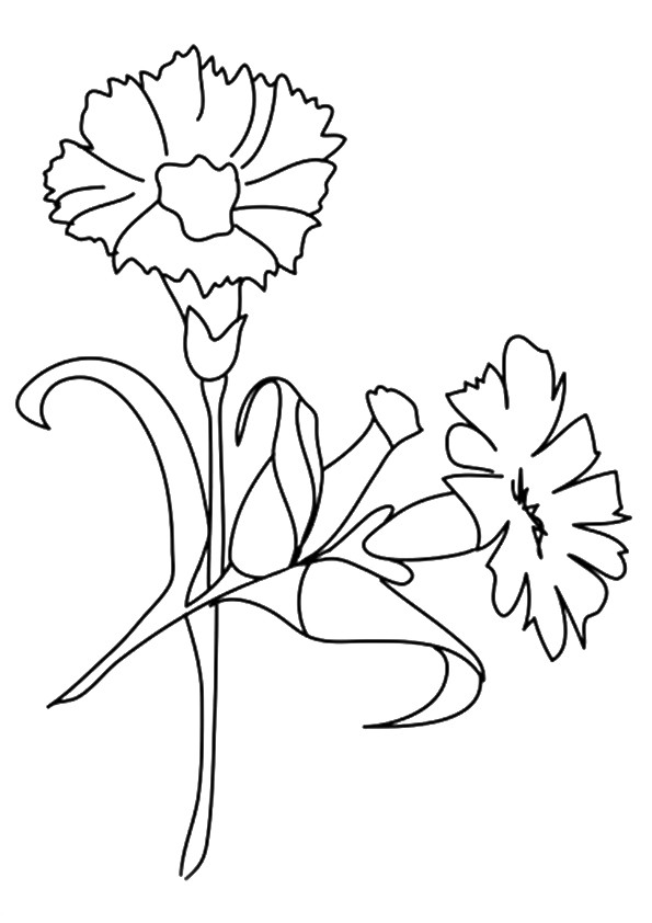 Free Flowers Coloring Pages Toddler
 Free Printable Flower Coloring Pages For Kids Best
