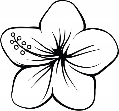 Free Flowers Coloring Pages Toddler
 Therapy Coloring Pages Bestofcoloring