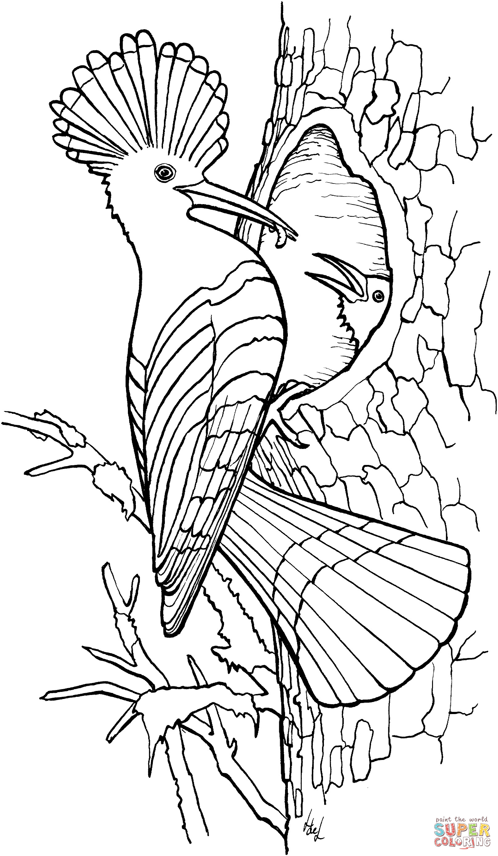 Free Online Coloring Pages
 Hoopoe coloring page
