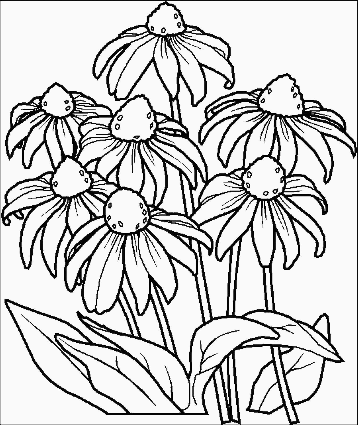 Free Printable Coloring Pages Flowers
 Flowers Coloring Pages