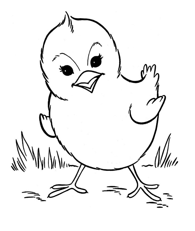 Free Printable Farm Animal Coloring Pages
 Free Printable Farm Animal Coloring Pages For Kids
