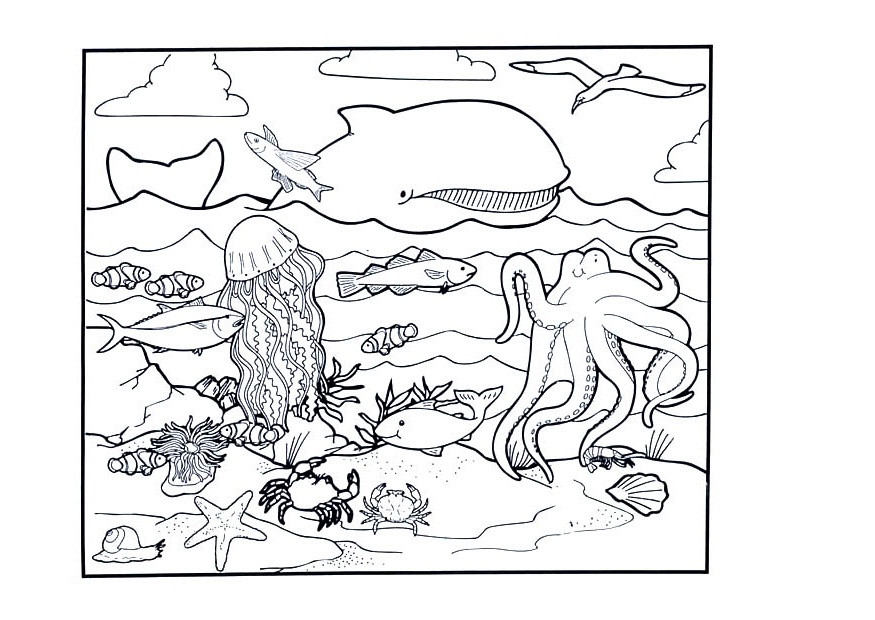 Free Printable Ocean Coloring Pages
 Free Printable Ocean Coloring Pages For Kids