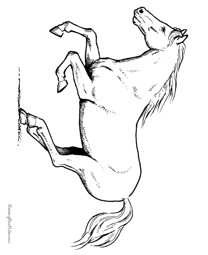 Free Printable Realistic Horse Coloring Pages
 Realistic Horse Coloring Pages To Print AZ Coloring Pages
