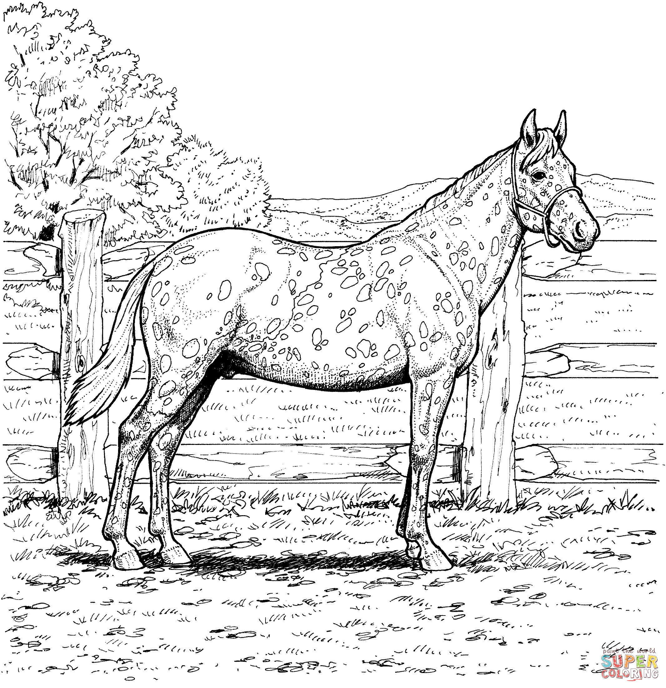 Free Printable Realistic Horse Coloring Pages
 Free Printable Realistic Horse Coloring Pages AZ