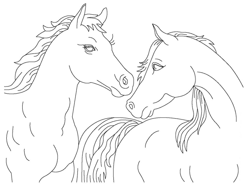 Free Printable Realistic Horse Coloring Pages
 Realistic Horse Head Coloring Pages