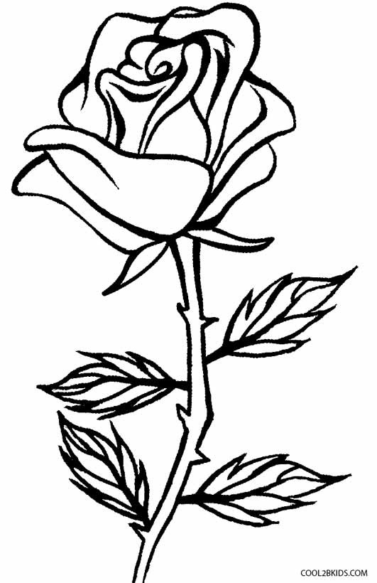 Free Printable Rose Coloring Pages
 Printable Rose Coloring Pages For Kids