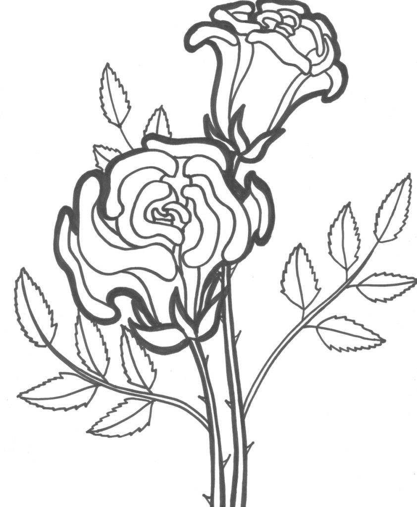 Free Printable Rose Coloring Pages
 Free Printable Roses Coloring Pages For Kids