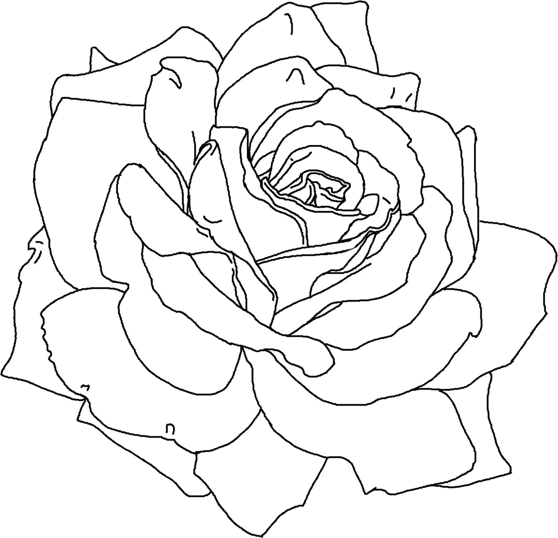 Free Printable Rose Coloring Pages
 Free Printable Flower Coloring Pages For Kids Best