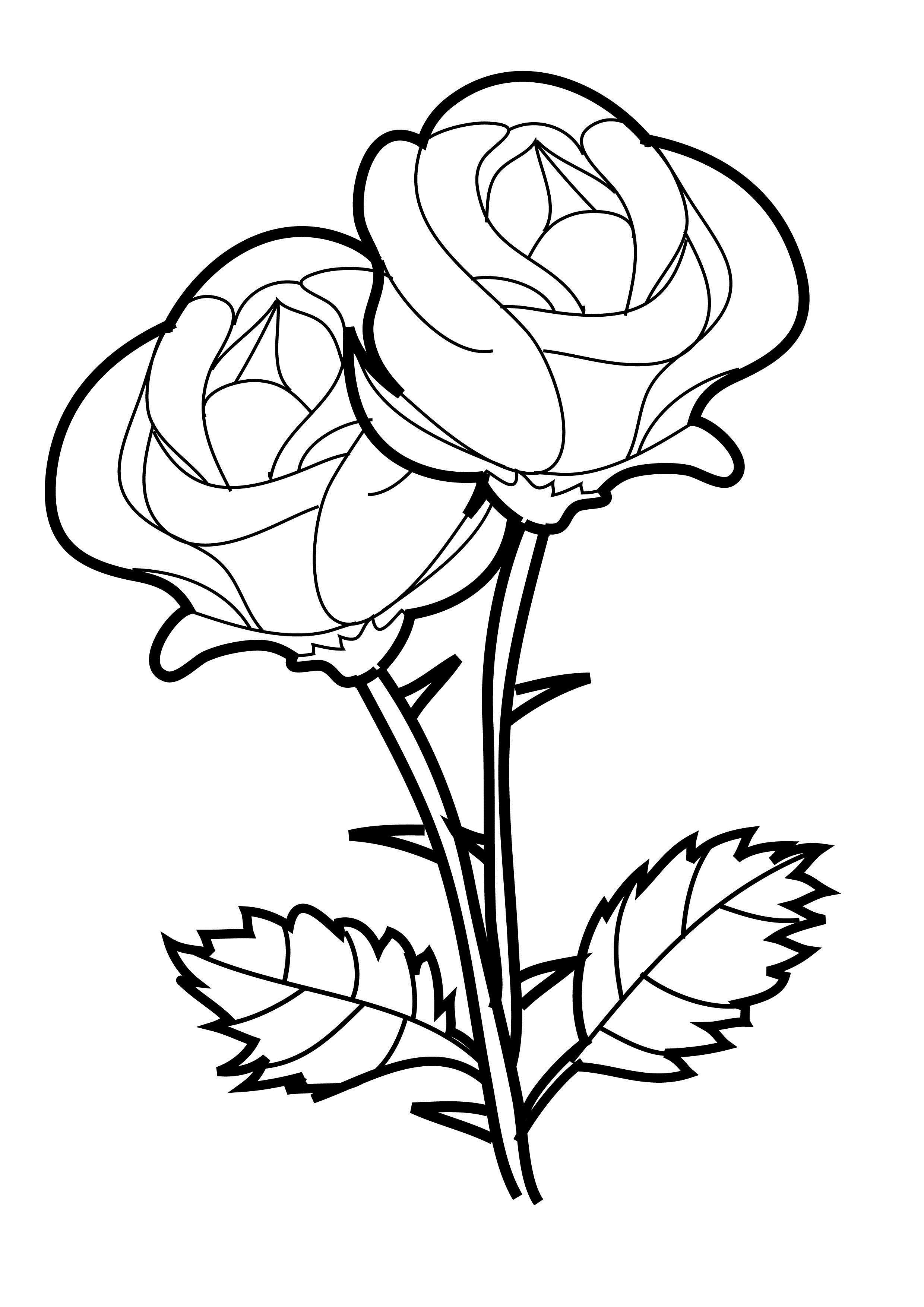 Free Printable Rose Coloring Pages
 Free Printable Roses Coloring Pages For Kids