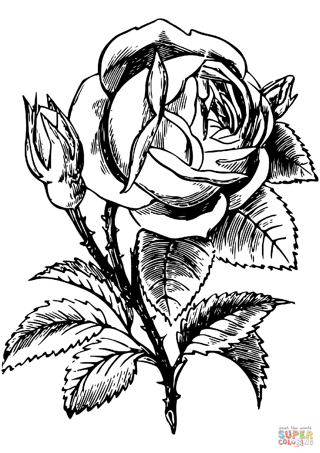 Free Printable Rose Coloring Pages
 Rose coloring page