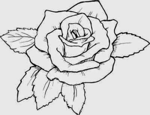 Free Printable Rose Coloring Pages
 Top 13 Flowers Sketches Beautiful Sketching Flowers