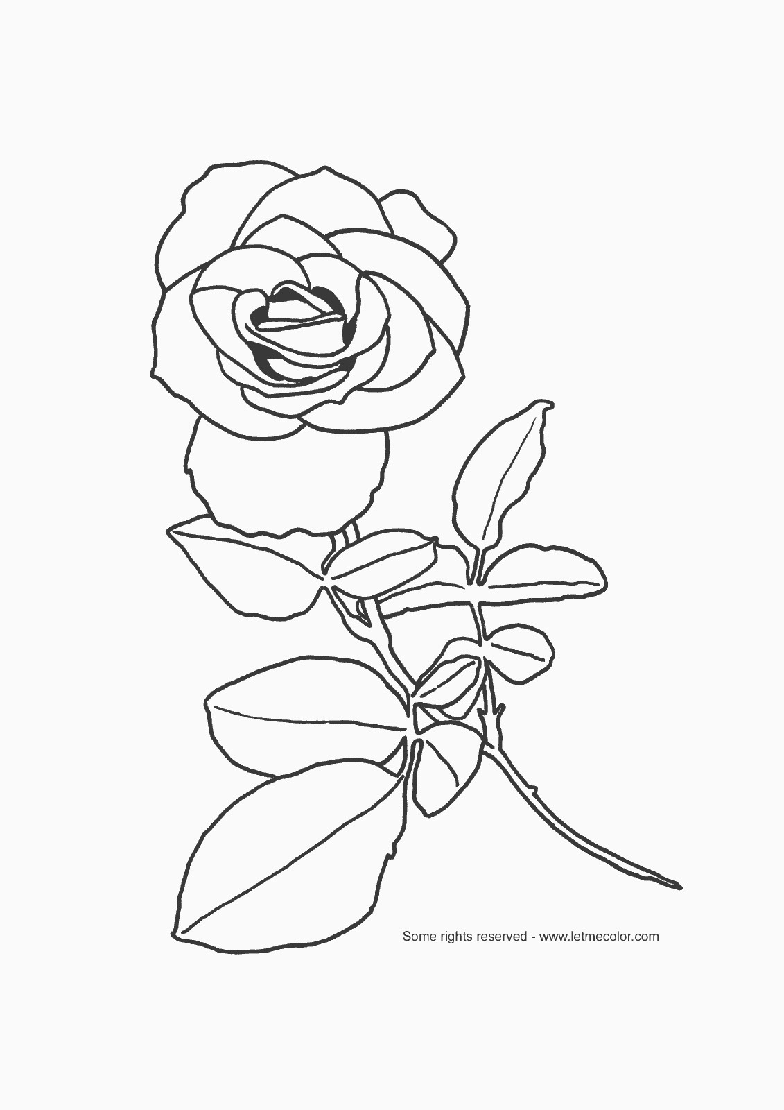 Free Printable Rose Coloring Pages
 Flowers – LetMeColor