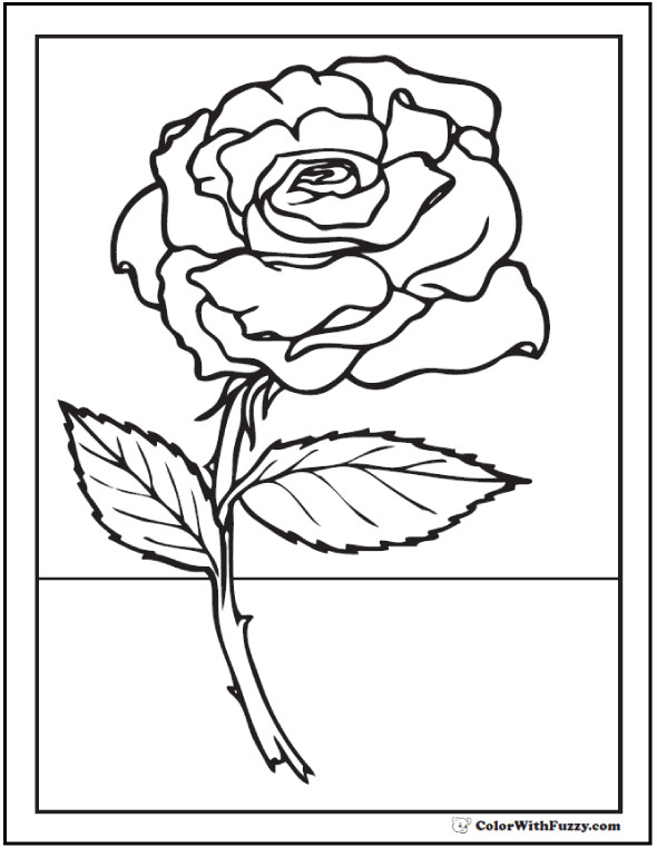 Free Printable Rose Coloring Pages
 73 Rose Coloring Pages Customize PDF Printables