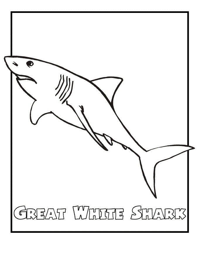 Free Printable Shark Coloring Pages
 Free Printable Shark Coloring Pages For Kids