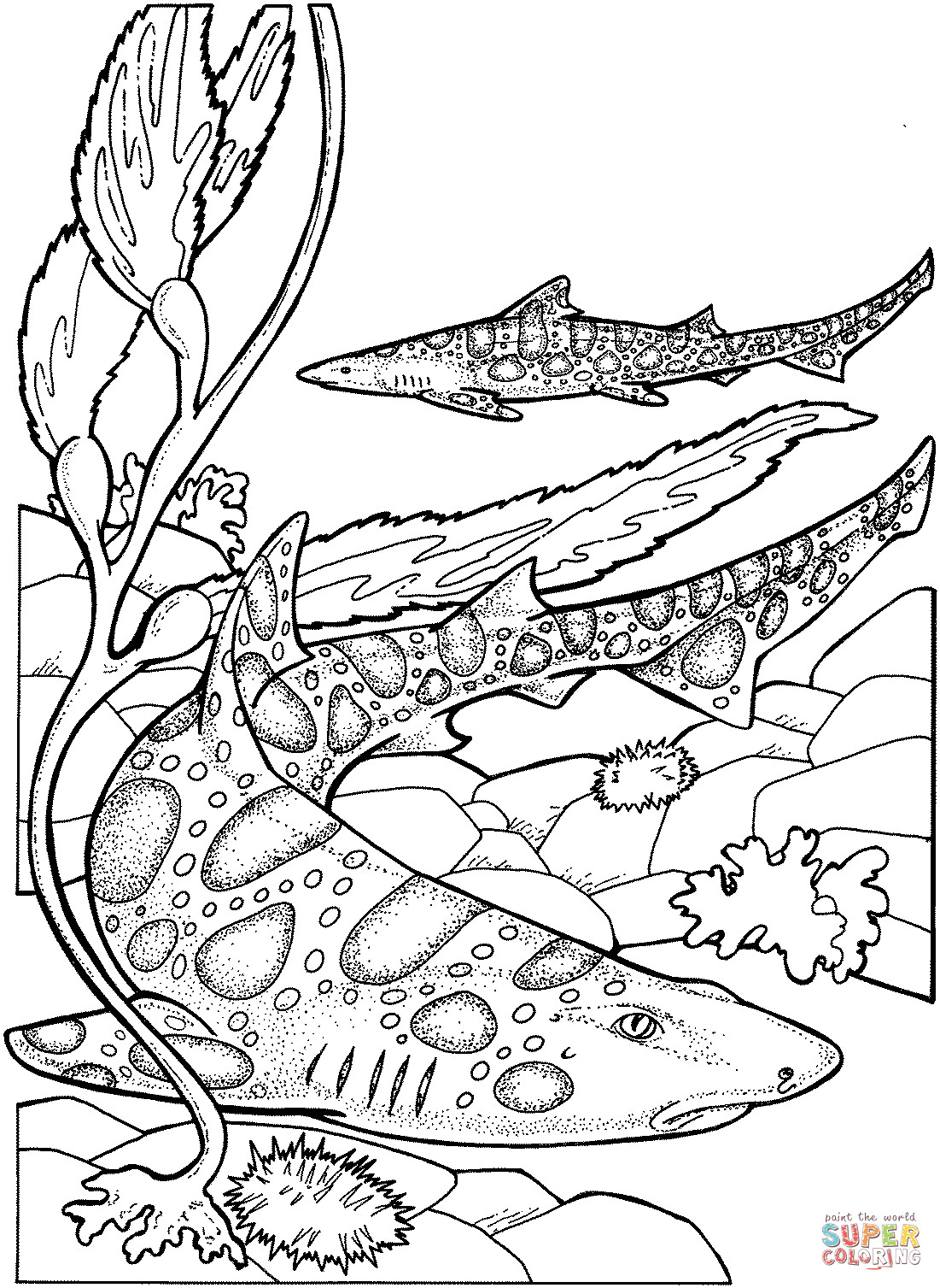 Free Printable Shark Coloring Pages
 Leopard Sharks coloring page