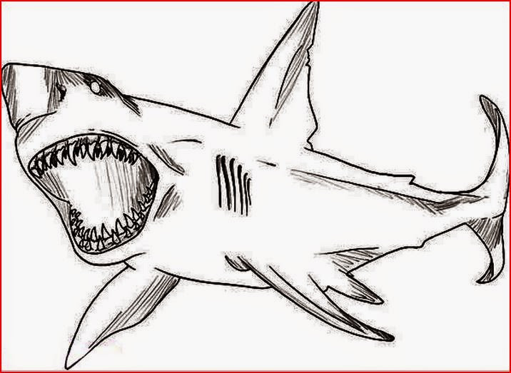 Free Printable Shark Coloring Pages
 Coloring Pages Shark Coloring Pages Free and Printable
