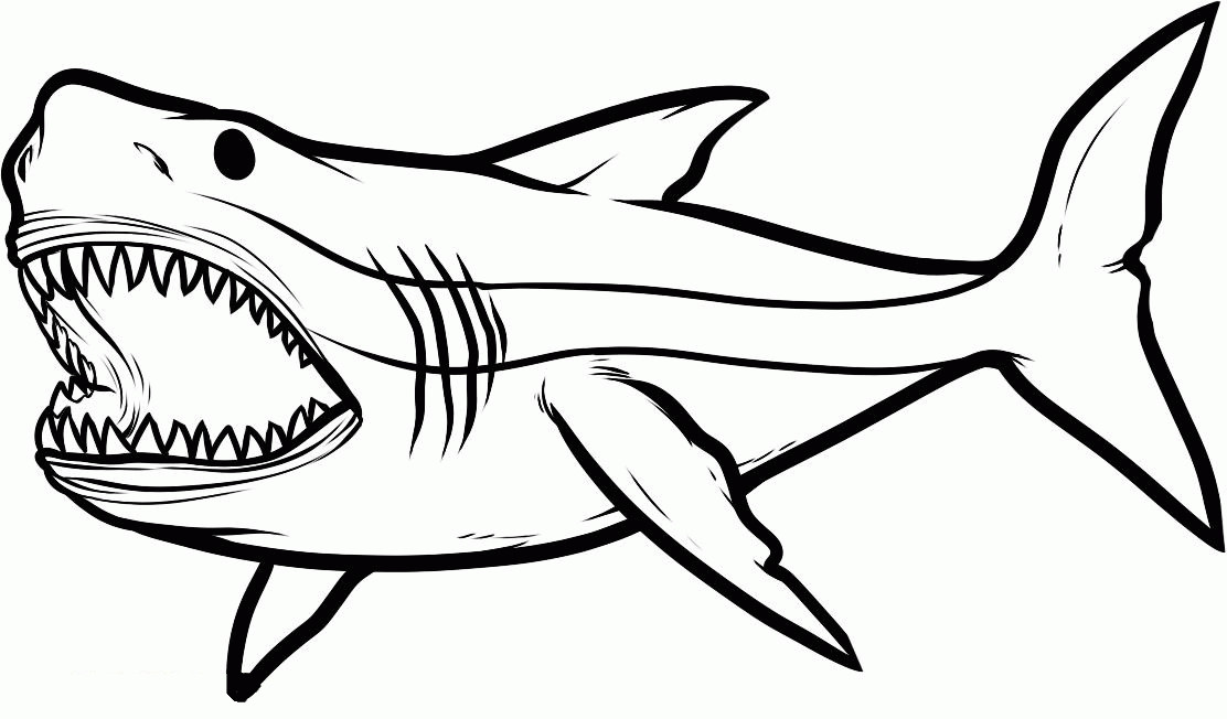 Free Printable Shark Coloring Pages
 Big Angry Sharks Coloring Pages For Kids eTK Printable